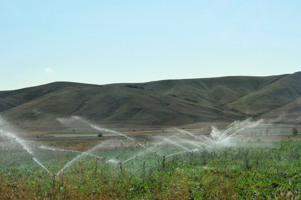 Extracción ilegal de agua en España: crisis alarmante