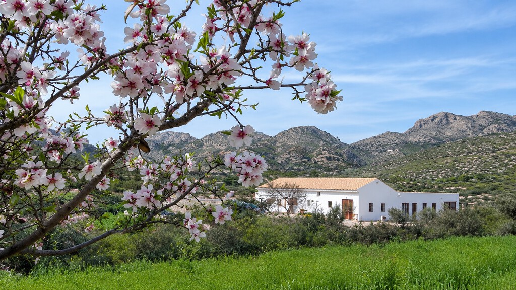 Vivir gratis en Alicante: oportunidad de voluntariado rural en contacto con la naturaleza