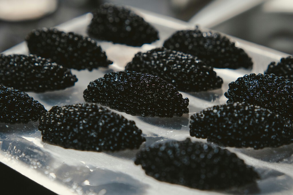 Caída del 20% en precios del caviar en 2026 | El Informador