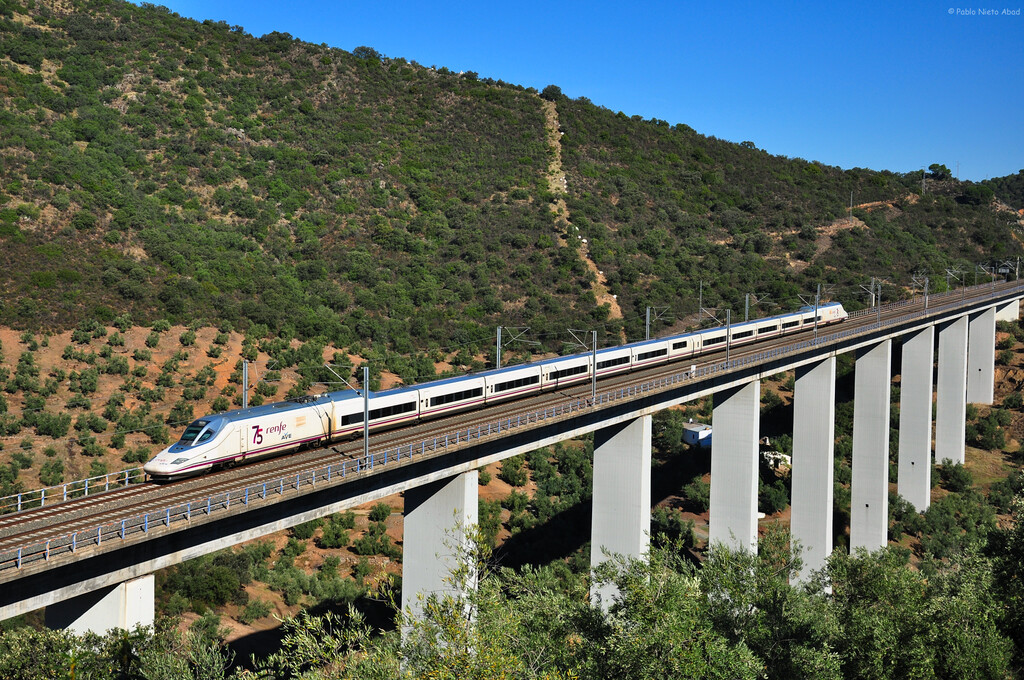 Crisis en trenes españoles impacta en confianza, movilidad y economía en 2026