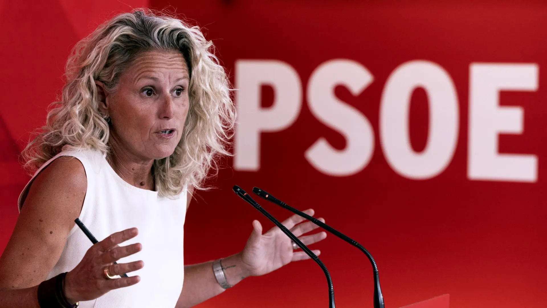 Montse Mínguez renuncia como portavoz del PSOE por polémica inmobiliaria y transparencia