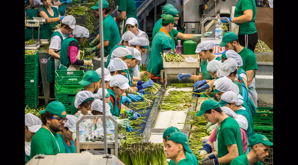 Gráfico de barras mostrando incremento en salarios mínimos en países de Europa en 2026