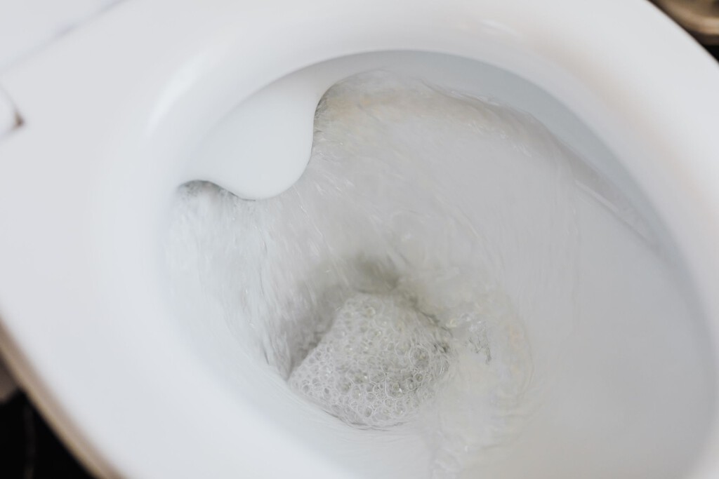 Persona rociando vinagre alrededor del inodoro en un baño moderno